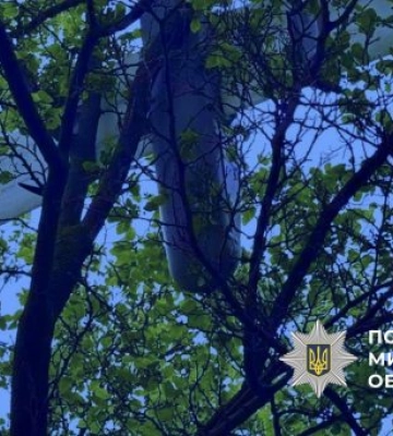Ворожий безпілотник застряг в кроні дерева