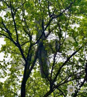 У Миколаєві поліцейські знищили ворожий безпілотник