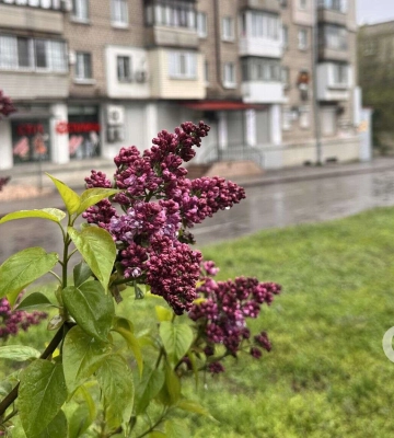 Погода та прикмети на четвер, 14 травня 2026 року 