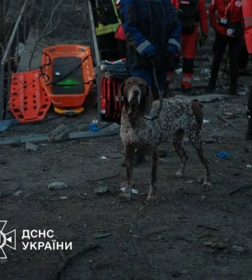 Понад 10 зниклих безвісти через ворожий удар у Києві
