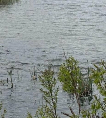 На Полтавщині після нічної атаки виявили нерозірвані боєприпаси: поліція документує наслідки удару