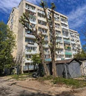 У Львові чиновниця обрізала дерево за допомогою ШІ та отримала догану