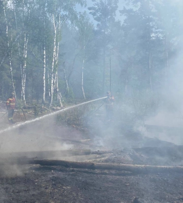 У Чорнобильській зоні нові займання лісу через атаки російських дронів, радіаційний фон не перевищує контрольні рівні – ДАЗВ