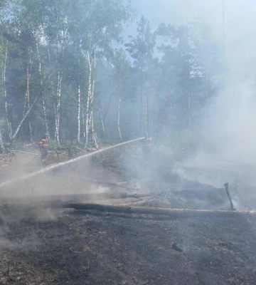 У Чорнобильській зоні нові займання лісу через атаки російських дронів, радіаційний фон не перевищує контрольні рівні – ДАЗВ