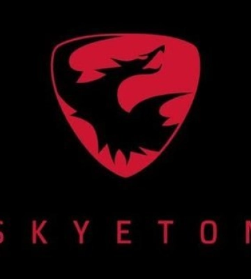 Россияне уничтожили в Киеве офис производителя дронов Skyeton