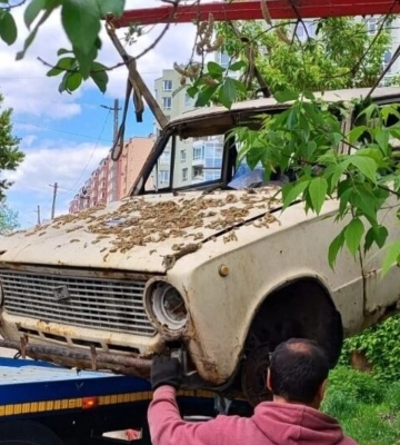 У Львові стрілянина (ФОТО)