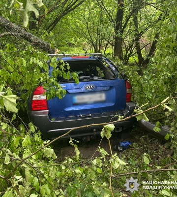 На Житомирщині легковик на лісовій дорозі влетів у дерево: загинули двоє людей. ФОТО