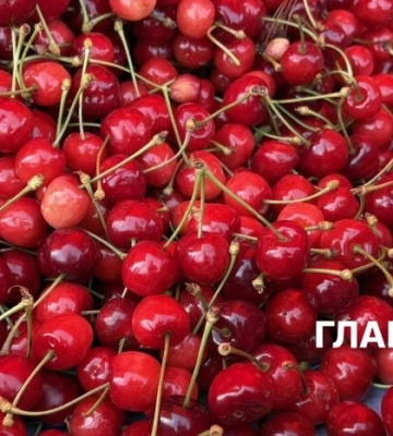 У Києві на вихідних 16-17 травня відбудуться продовольчі ярмарки (адреси)