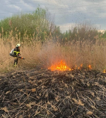 За добу на Львівщині сталося 12 пожеж в екосистемах
