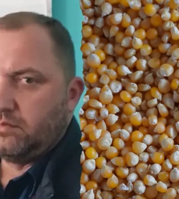 Піраміда на зерновому ринку України. «Главком» оприлюднив ексклюзивні подробиці скандальної справи