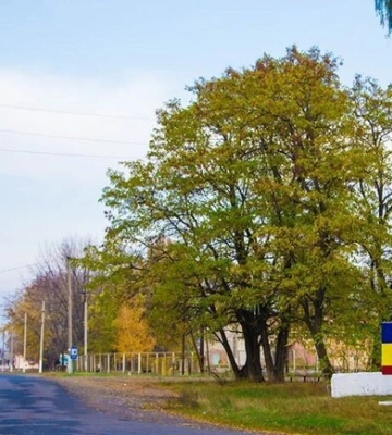 Оккупанты заявили, что захватили еще один населенный пункт в Харьковской области