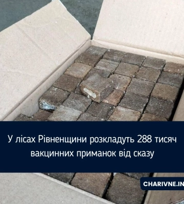 На Рівненщині в лісах розкладатимуть вакцини від сказу: жителів просять не чіпати приманки