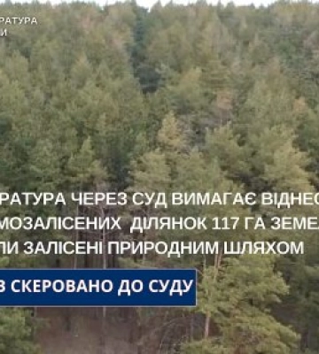 Прокуратура через суд вимагає віднести до самозалісених ділянок 117 га земель, які були залісені природним шляхом
