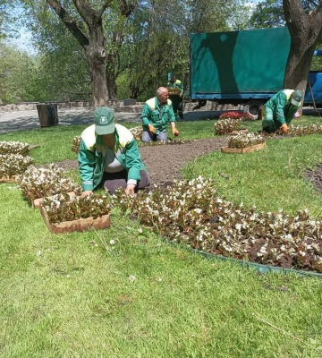 В Одесі прикрашають клумби фігурними квітковими композиціями