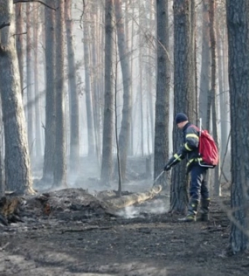 Боролися з вогнем 12 днів: на Житомирщині ліквідували пожежу у Поліському заповіднику
