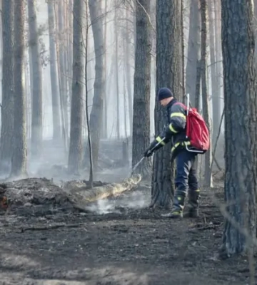 Боролися з вогнем 12 днів: на Житомирщині ліквідували пожежу у Поліському заповіднику