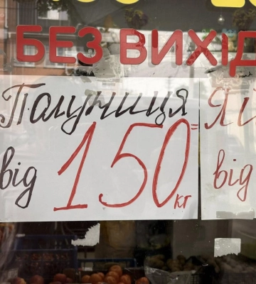 На Волині стартував сезон продажу полуниці: скільки коштує кілограм ягоди