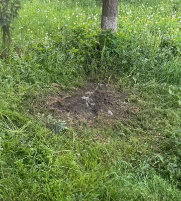 Поліція затримала мешканця Золочева, який підірвав гранату біля стадіону