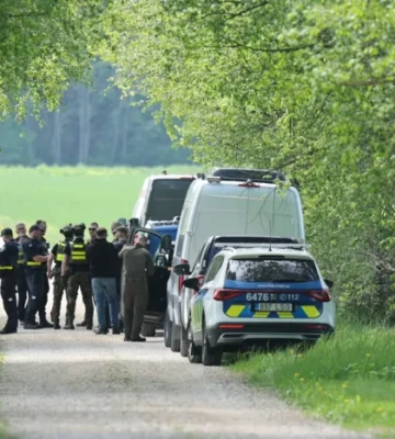 НАТО перехопило дрон над Естонією. Влада назвала ймовірне походження безпілотника