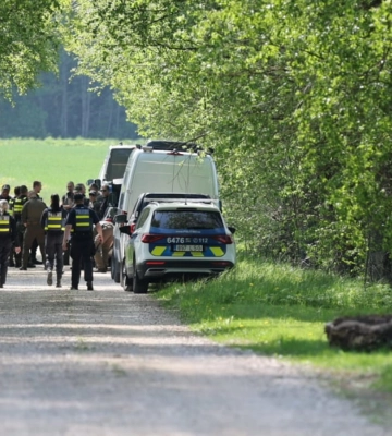 Естонія збила український безпілотник над своєю територією: Київ перепросив за ненавмисний інцидент