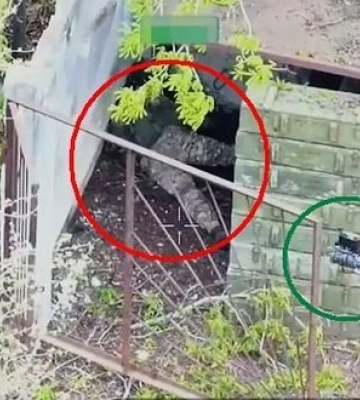 Бійці 58-ї ОМПБр залетіли FPV-дроном в укриття до окупанта на Харківщині та ліквідували його. ВIДЕО