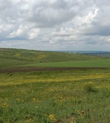 На Миколаївщині розорали заповідні землі: під плуг пустили 6 гектарів заказників