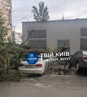 На Київ та область суне негода: синоптики оголосили перший рівень небезпеки