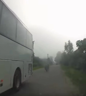 Троє на одному скутері: на Волині діти ледь не потрапили під колеса авто (відео)