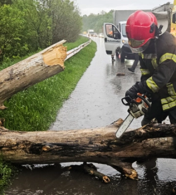 Негода в Україні: у трьох областях повалені дерева перекрили автошляхи