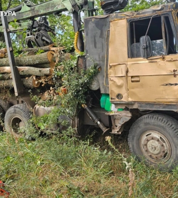 Мешканця Богодухова підозрюють у вирубці 20 дубів поблизу Івано-Шийчиного на Харківщині