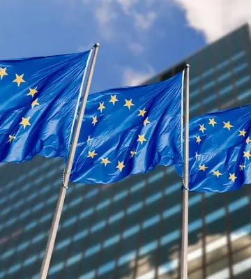 Нові правила вступу до ЄС: п’ять країн пропонують обмежити права голосу