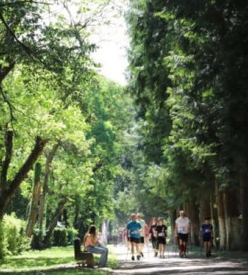 200 учасників і жорсткі правила: в Ужгороді вперше провели масштабний чемпіонат зі скандинавської ходьби