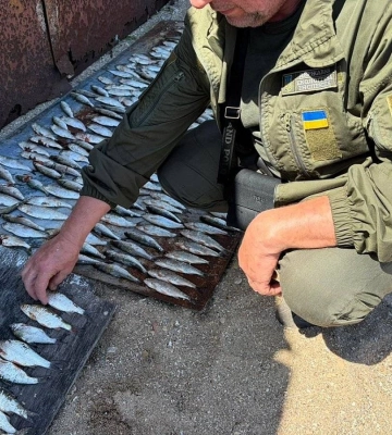 У Миколаївській області незаконно виловили риби на понад 700 тисяч гривень