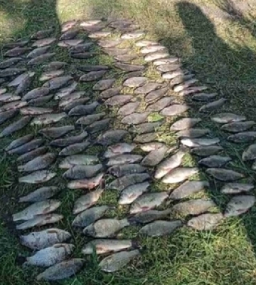 На Волині з авто жінки викрали понад 35 тисяч гривень і валюту: злодія затримали