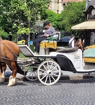 Заборонені кінні карети з'явилися у центрі Львова. Як реагує влада