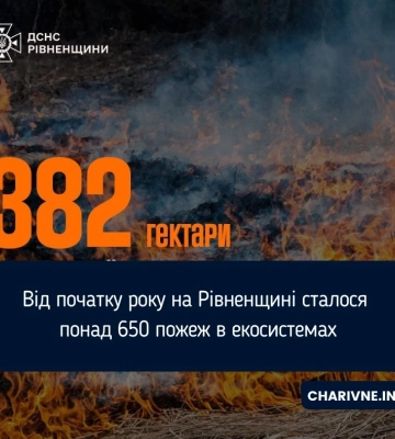 Від початку року на Рівненщині сталося понад 650 пожеж в екосистемах