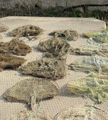 На Одещині з браконьєрських пасток врятували майже 180 раків