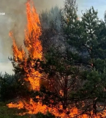 У Чернігівській області внаслідок падіння дрона сталася пожежа в екосистемі