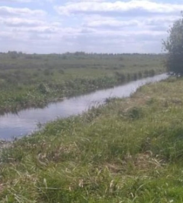 У Світязі знайшли тіло чоловіка в меліоративному рові: що відомо