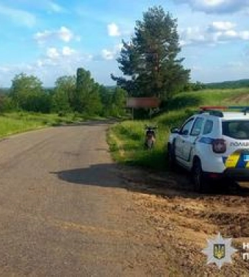 На Полтавщині нетвереза водійка на мопеді потрапила в ДТП разом з двома дітьми