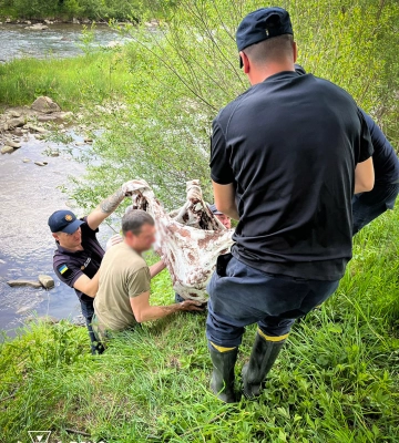 У річці Біла Тиса на Рахівщині знайшли тіло жінки