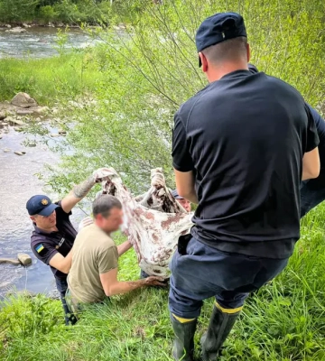 На Рахівщині вилучили з річки тіло ймовірної потопельниці