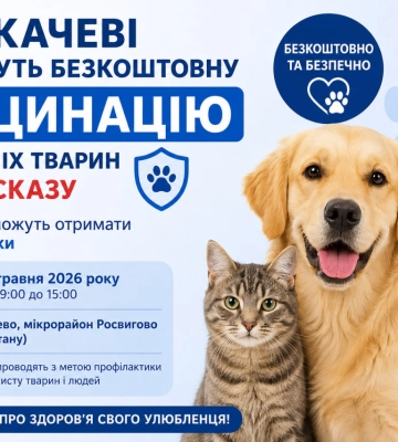 Безкоштовну вакцинацію домашніх тварин проти сказу проведуть в Ужгороді
