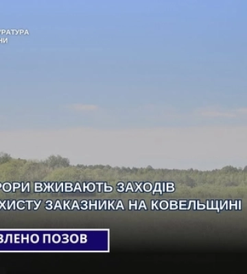 На Волині через суд хочуть захистити унікальний заказник, де гніздяться десятки видів птахів
