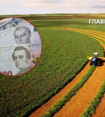 Від моменту відкриття ринку землі в Україні укладено півмільйона угод: яка середня ціна за гектар?