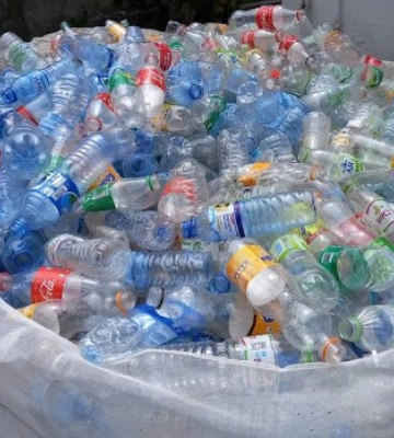 В Польше сборщики бутылок могут поплатиться сотнями злотых: налоговая уже готовит новые правила