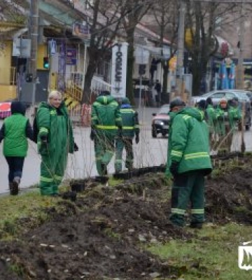 Подаруй дерево місту: у Миколаєві визначили парки та сквери, де проходитиме акція