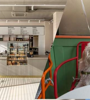 Де у Луцьку можна відпочити з собакою: добірка pet-friendly закладів