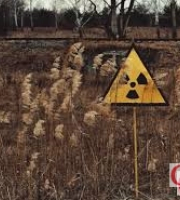 Радіаційний фон на Житомирщині: свіжі дані на сьогодні
