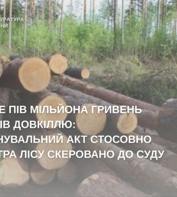 Збитки довкіллю склали майже 500 тисяч: на Кіровоградщині судитимуть майстра лісу